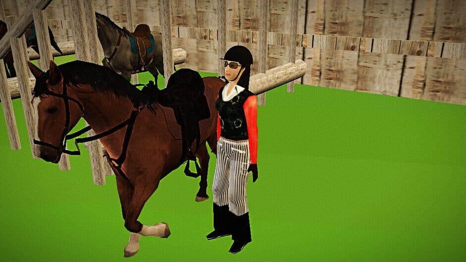 Riding Horse School banner