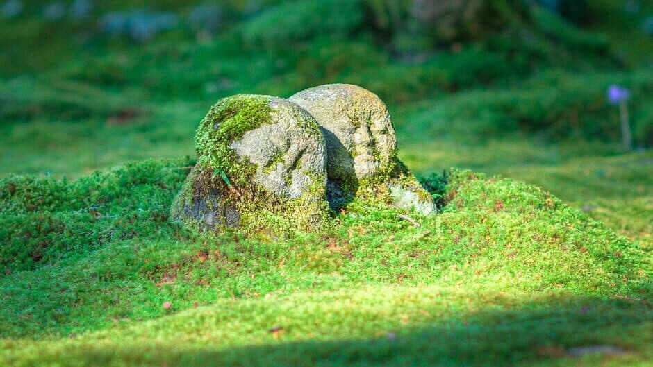 Bepuzzled Jigsaw Puzzle: Japan banner