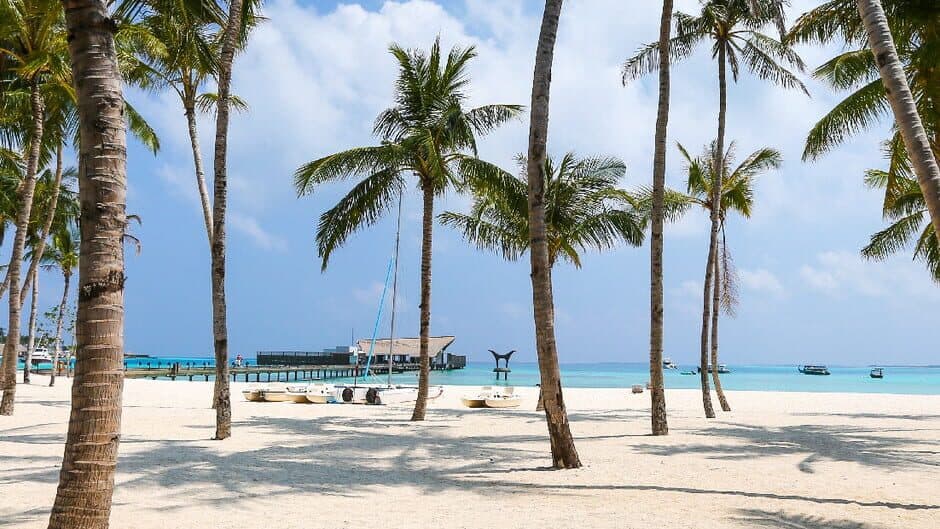 Bepuzzled Jigsaw Puzzle: Paradise banner