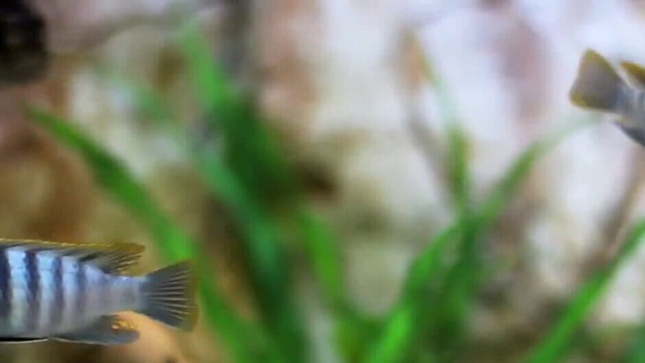 The Puzzle Factory banner