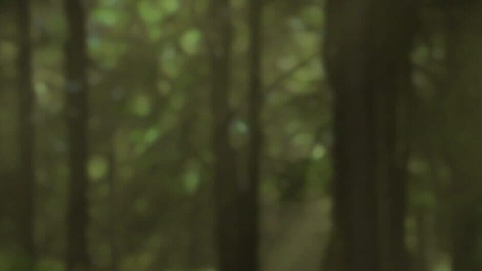 Forsaken Woods banner