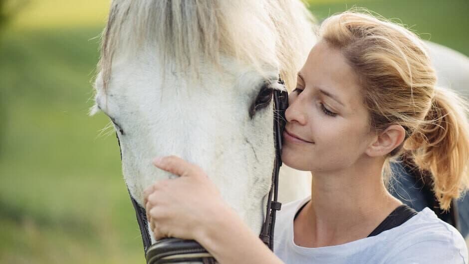 Living with Horses: My Horse Farm banner