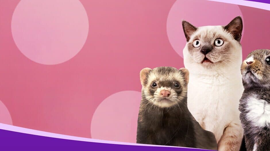 I Love Finding Furbabies banner