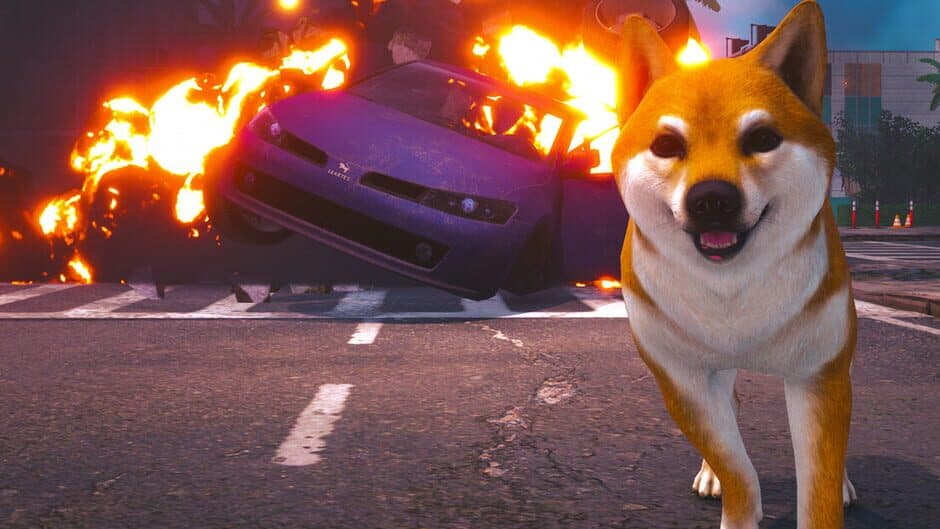 Doge Simulator banner
