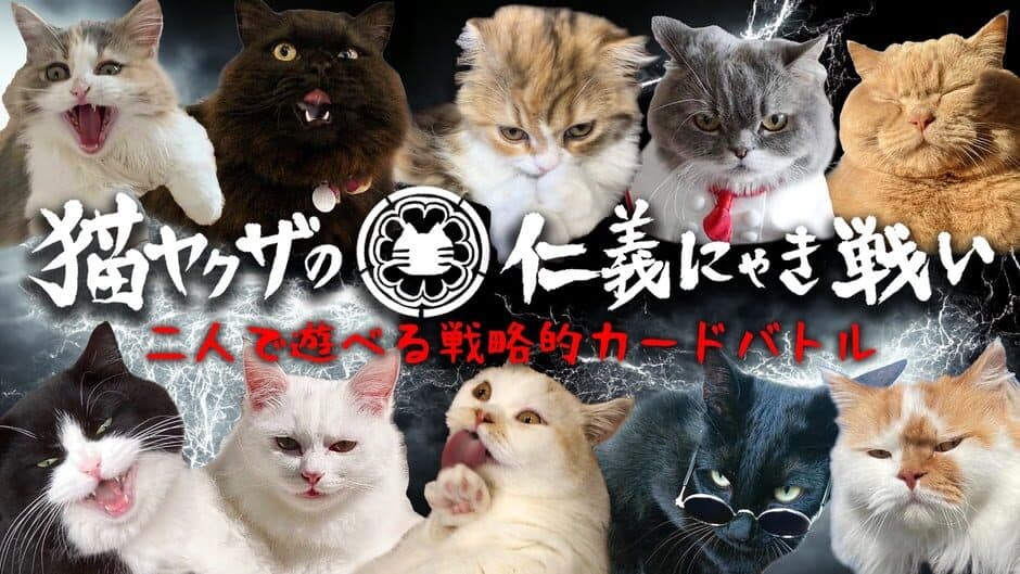 Cats Yakuza banner