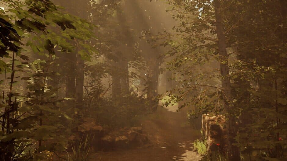 Number 217721 banner