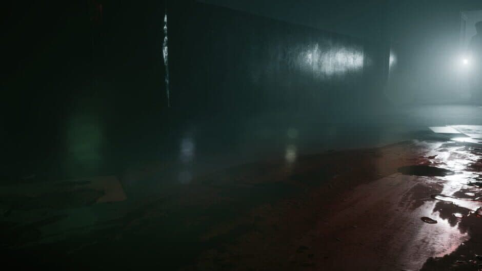 The Bridge Curse 2: The Extrication banner