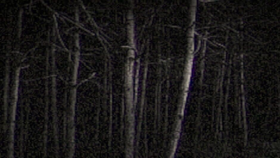 I Can See You banner