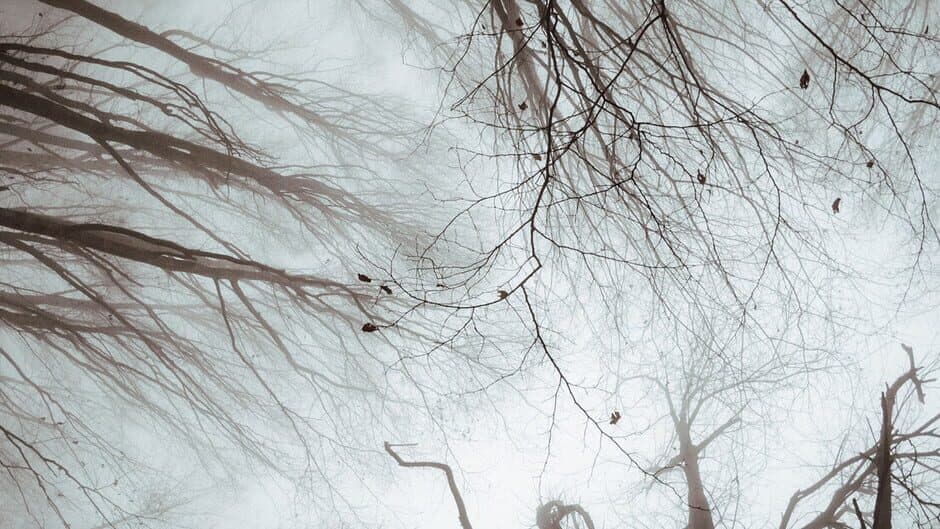 The Black Within banner