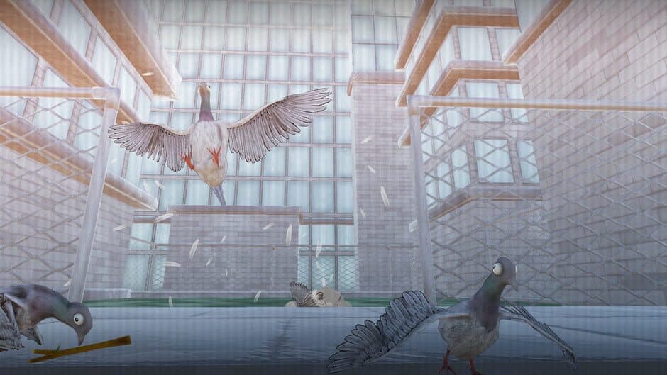 Pigeon Protocol banner
