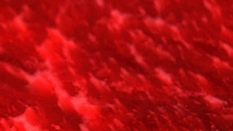 The Forgotten Tapes: Twisted Forms banner