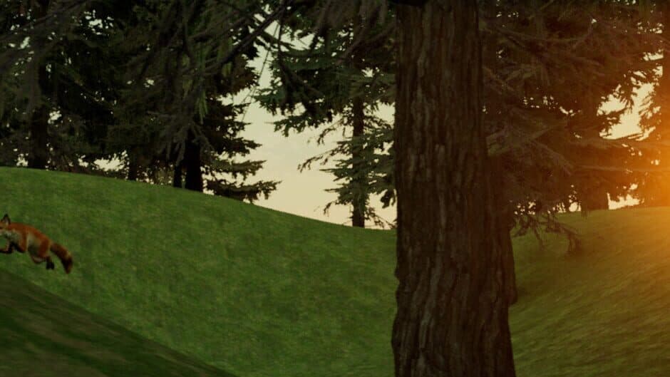 Catch The Fox banner