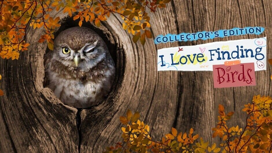 I Love Finding Birds: Collector's Edition banner