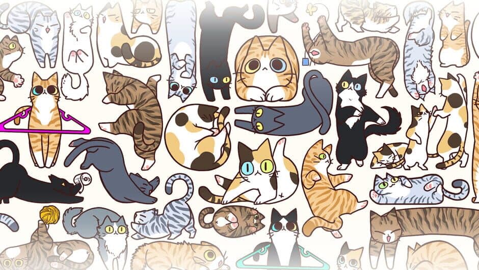 AnimalKingdom: Cats banner