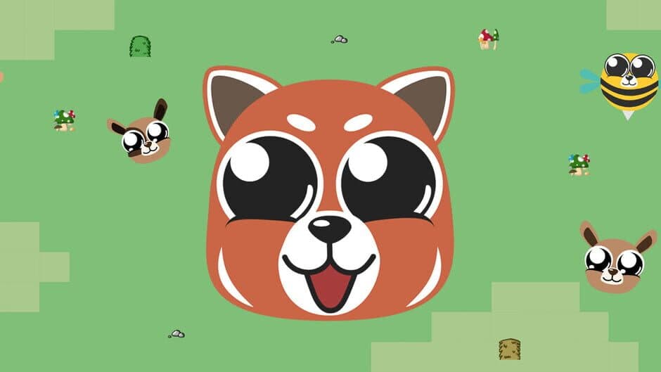 Bounda Forever banner