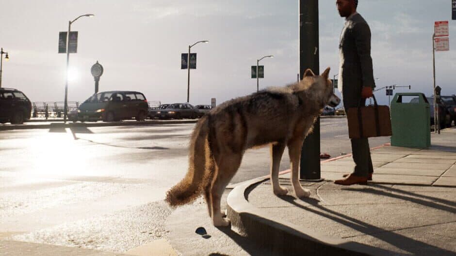 Wolf in the City banner