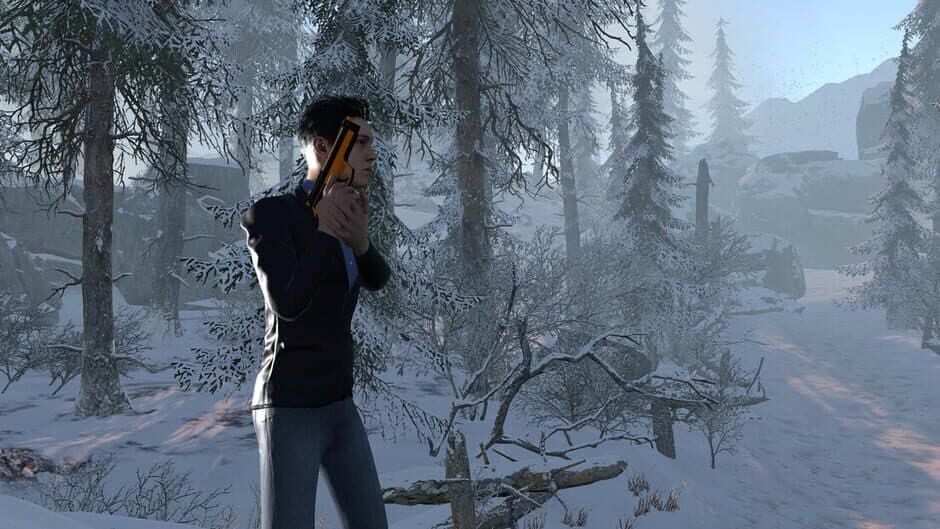 The Assailant's Arrival banner