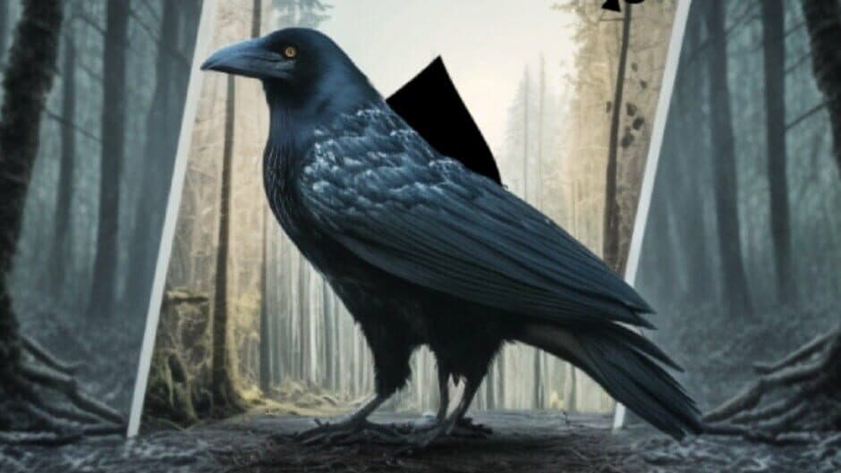 Mystery Solitaire: The Black Raven 5 banner