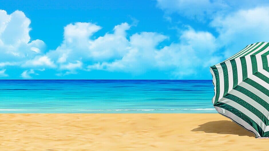 Vacation Paradise: Florida - Collector's Edition banner