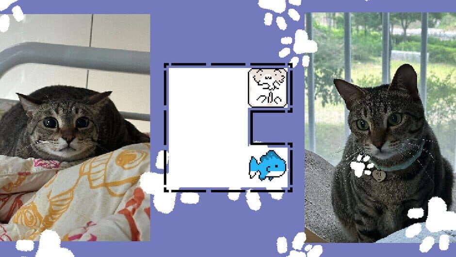 JustWatchMyCat banner