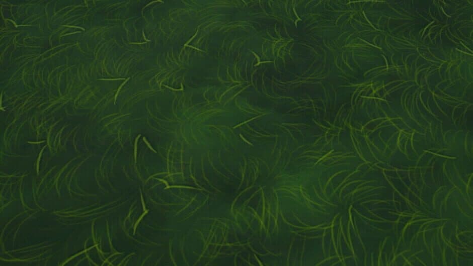 Frogs Also Struggle banner