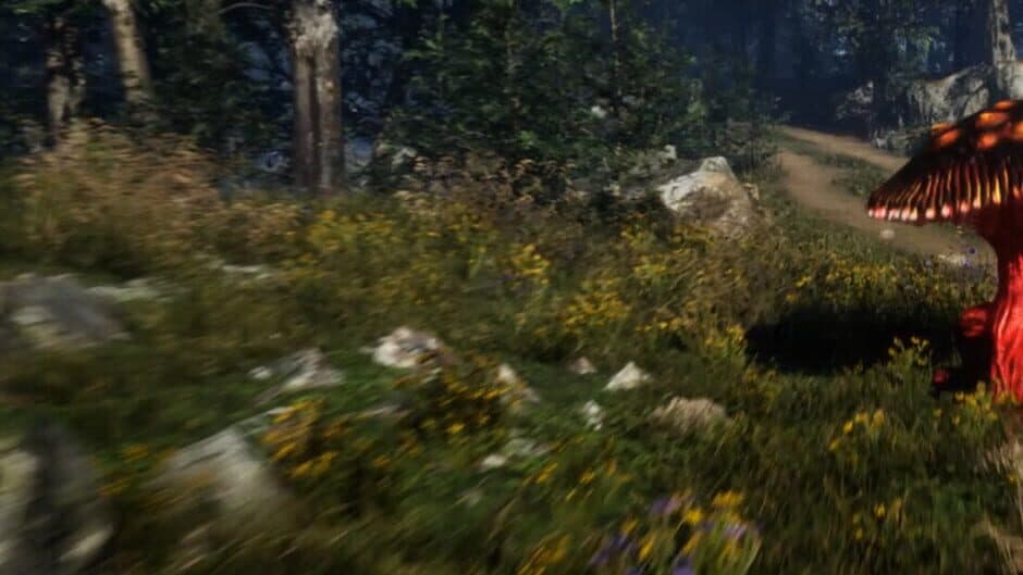 Forest Frenzy banner