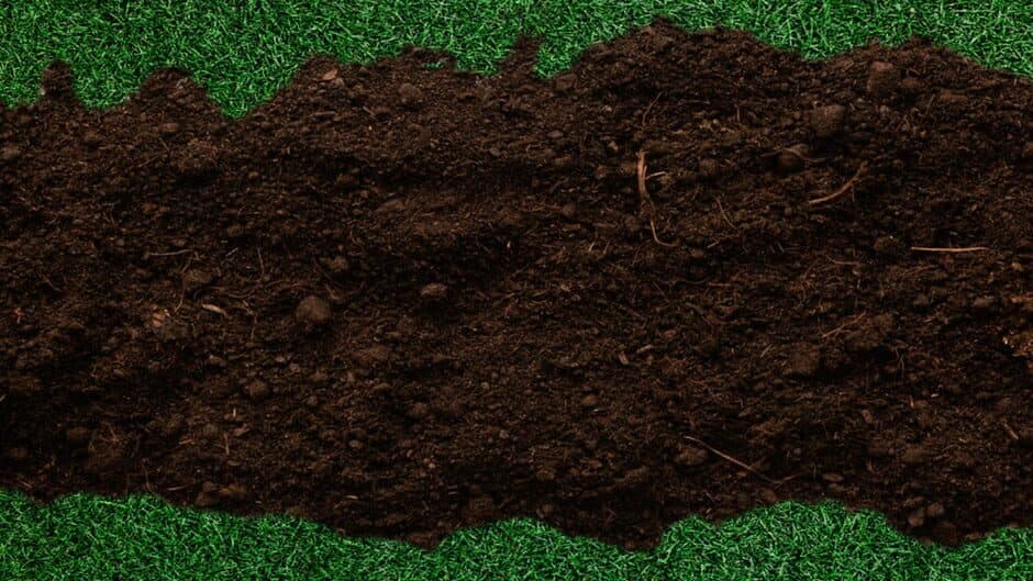 Make Them Walk banner