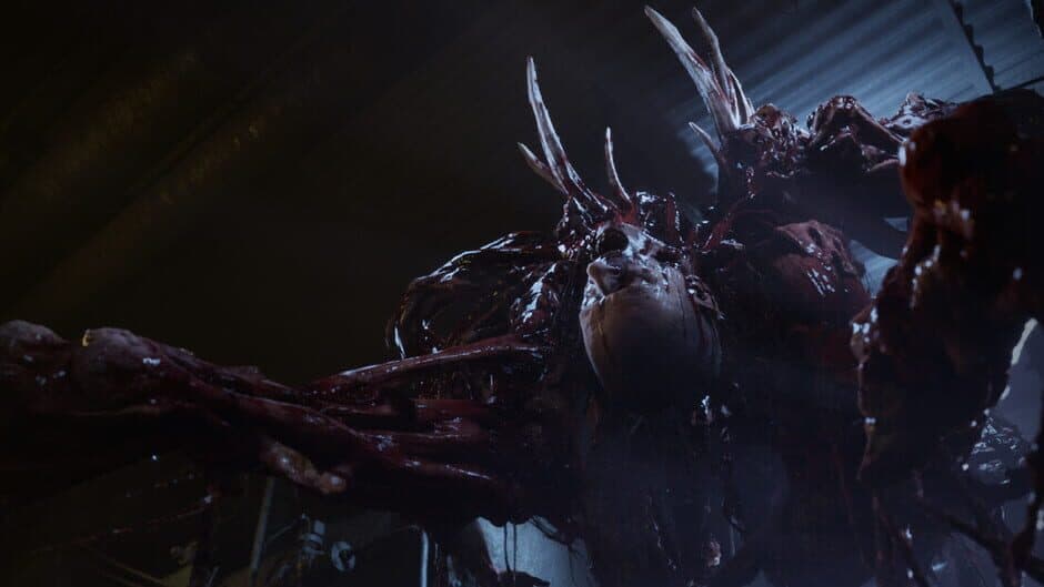 Ill banner