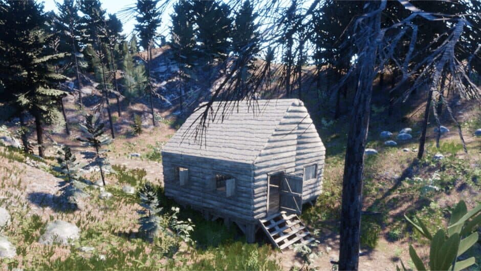 Your Journey of Survival banner