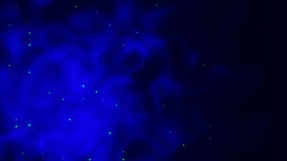 Frame of Mind: A game of Thoughts banner