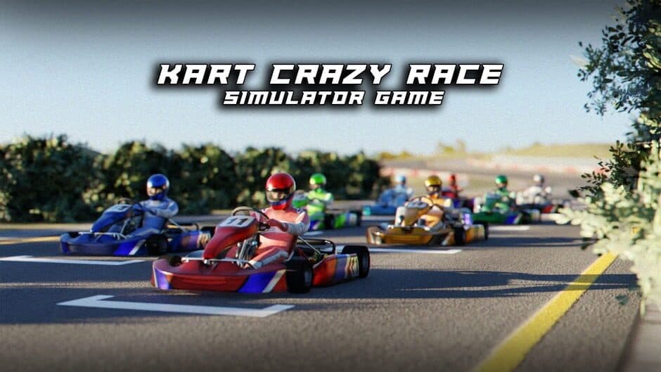 Kart Crazy Race Simulator Game banner