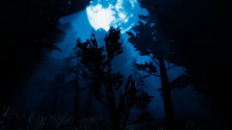 Blue Ridge Hunting banner