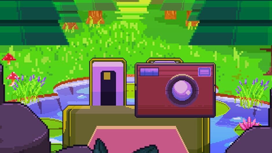 Froggies at the Zoo banner