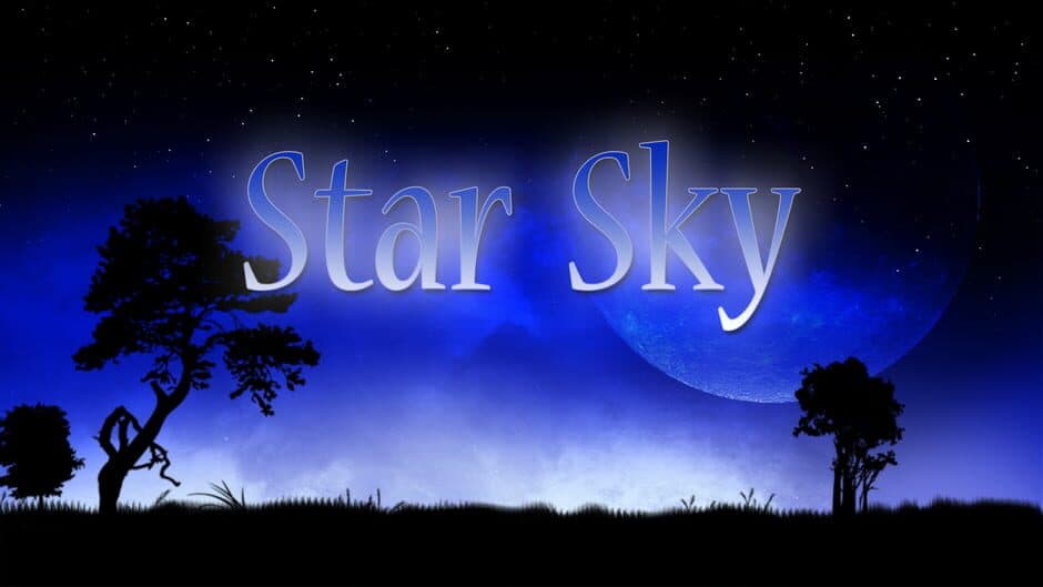 Star Sky banner