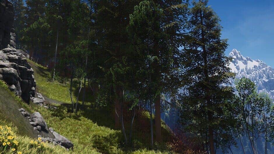 The Carrier and Crows banner