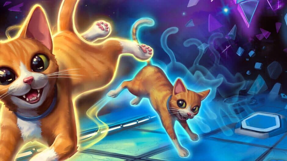 Schrodinger's Cat Burglar banner