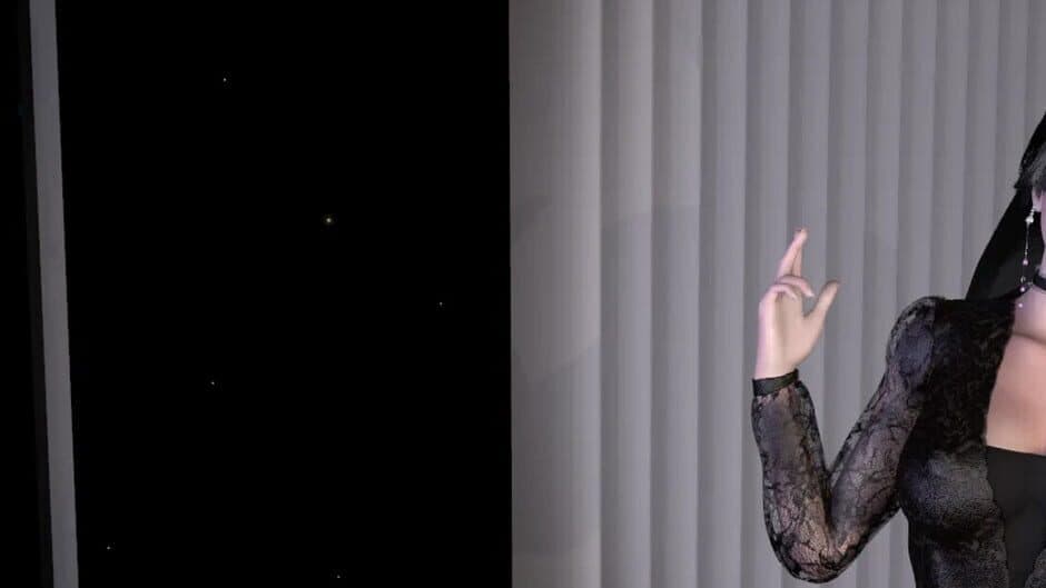 Maid Sisters' Service banner