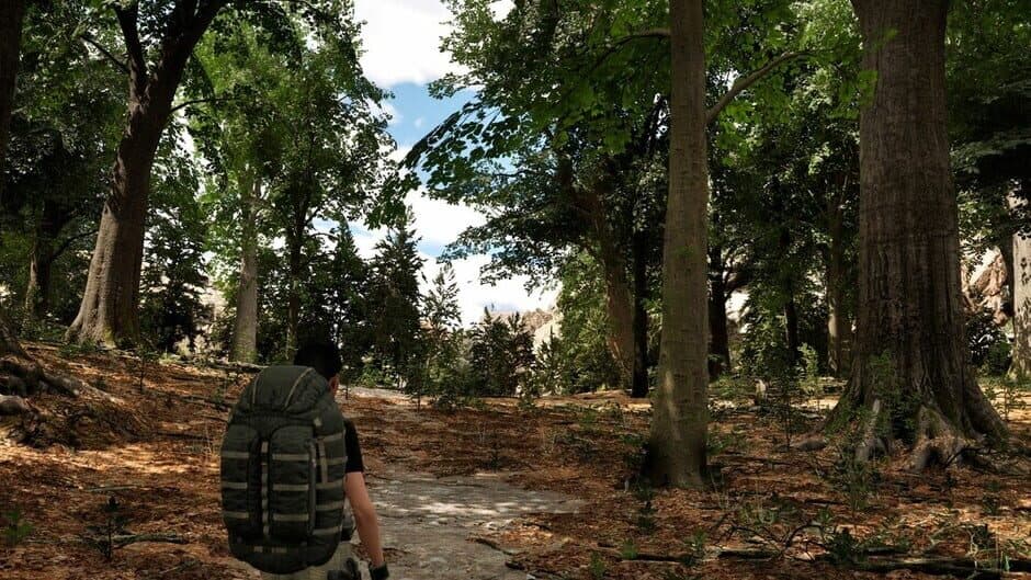 Cypress Inheritance: The Beginning banner