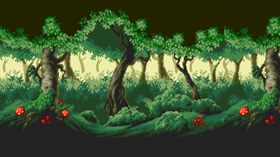 A Little Walk in the Woods banner