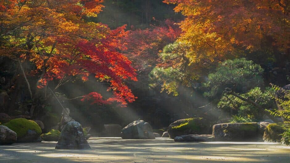 Niwa: Japanese Garden Simulator banner