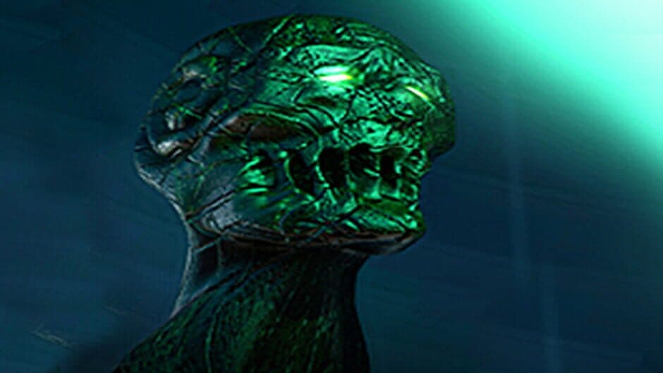 Zumbido Seele banner