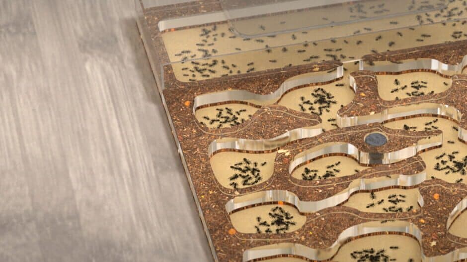 Ant Farm Simulator banner