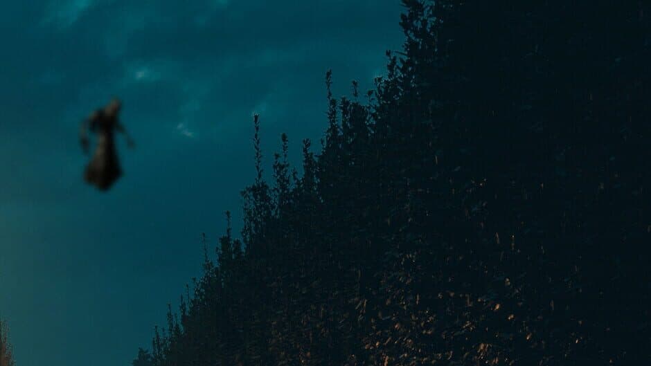 Purgatory Salvation banner