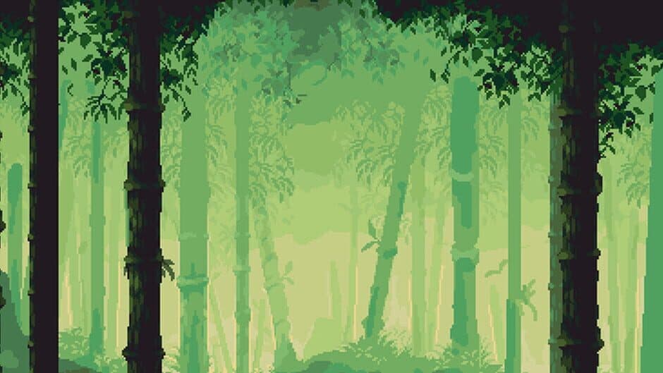 Dense forest banner