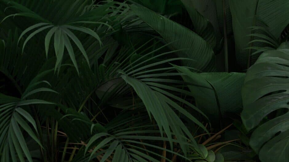 VR Houses: Glass Apartment banner