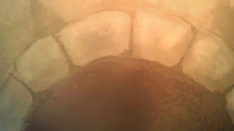 Witches Wishes and Whispers banner