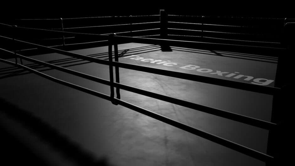 Tactic Boxing banner