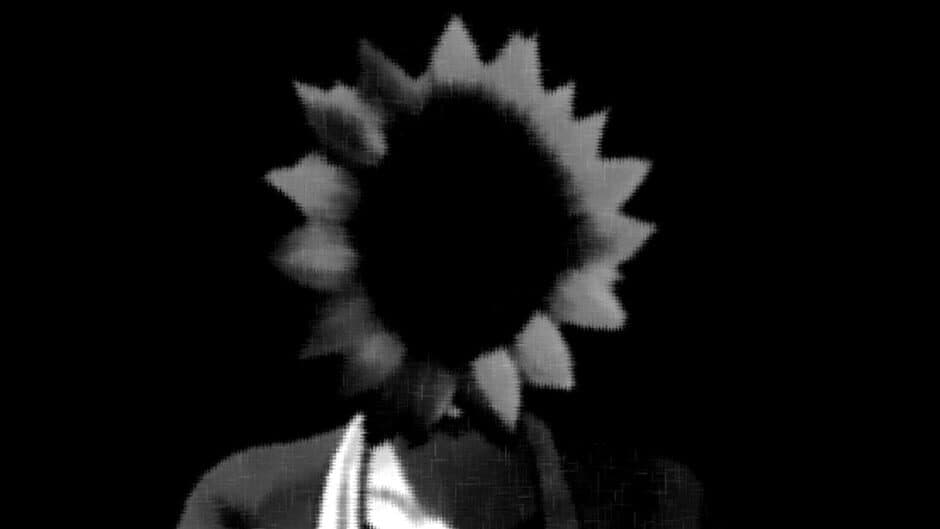 Sunflower Pie banner