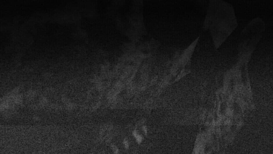 The Pony Factory banner