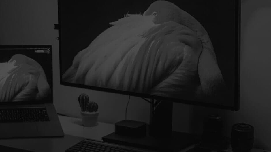 Over The Phone banner